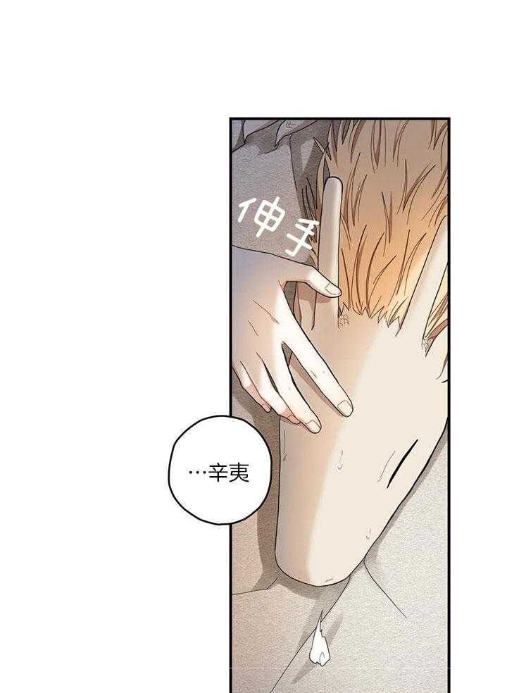 看见那条龙了吗，我的第21话图