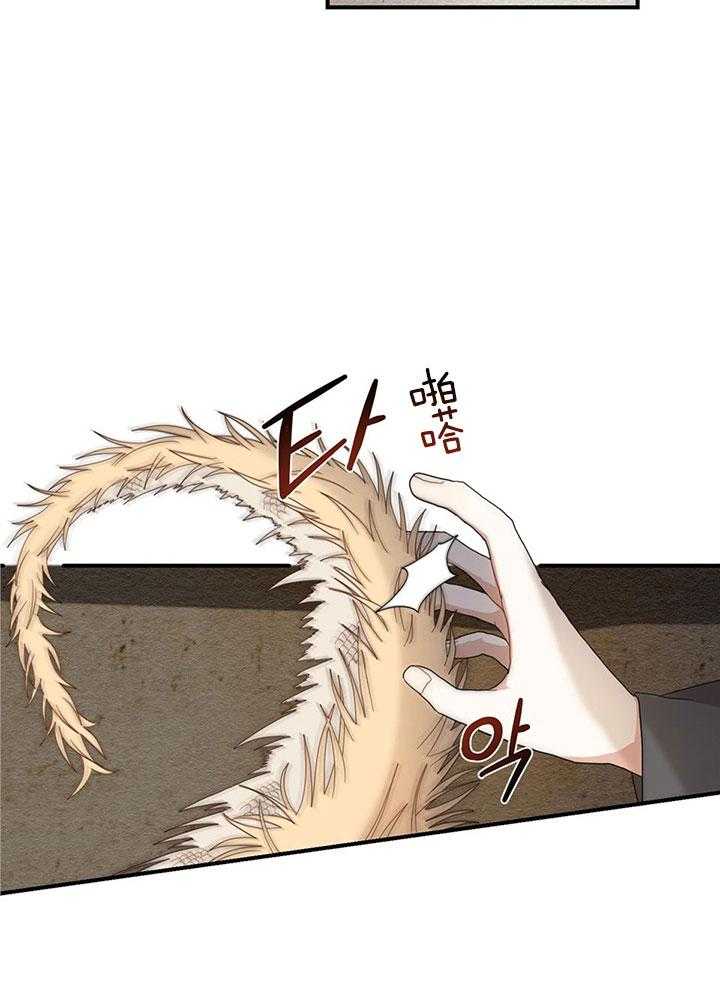 看见那条龙了吗，我的第21话图