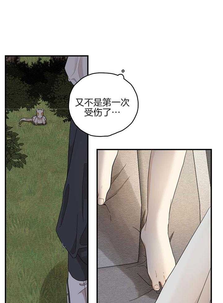 看见那条龙了吗，我的第22话图