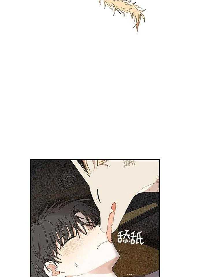 看见那条龙了吗，我的第22话图