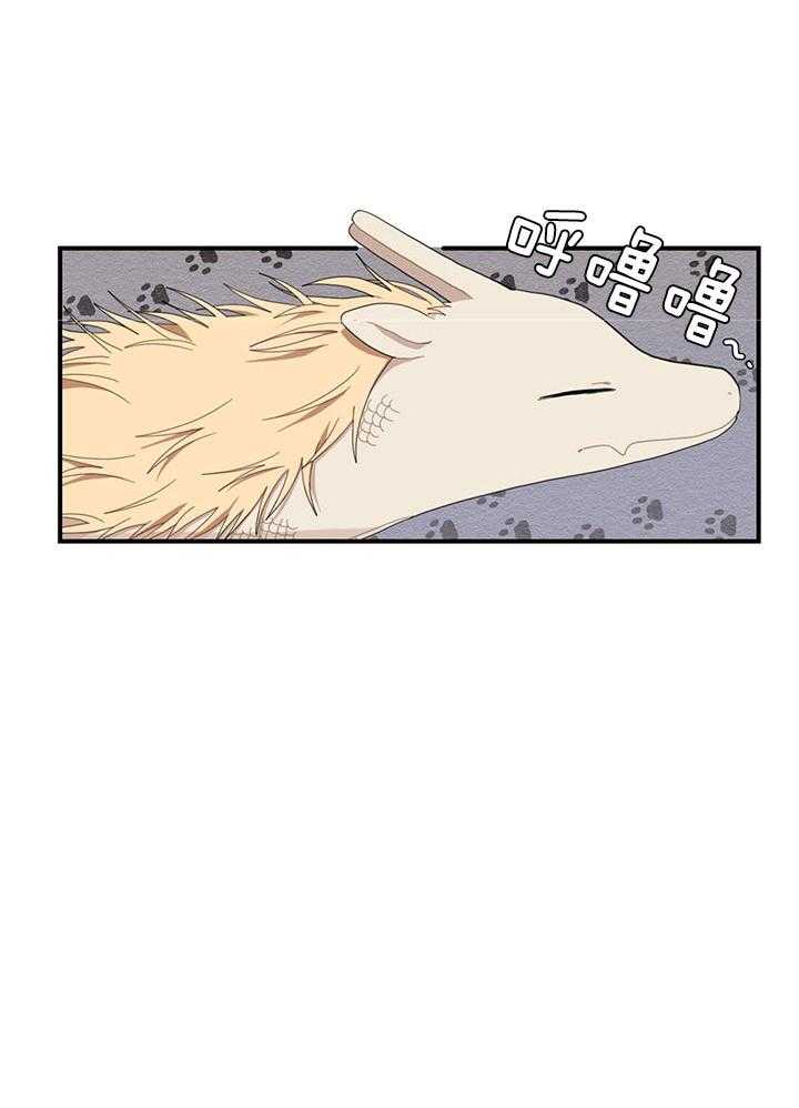 看见那条龙了吗，我的第23话图