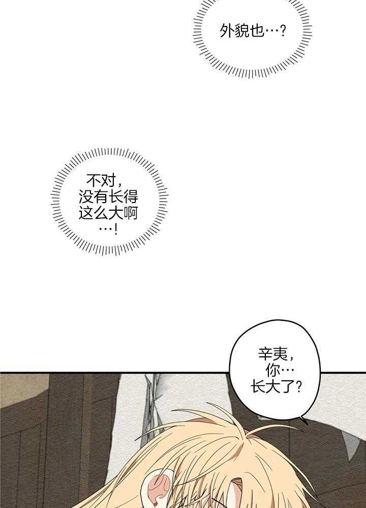 看见那条龙了吗，我的第23话图