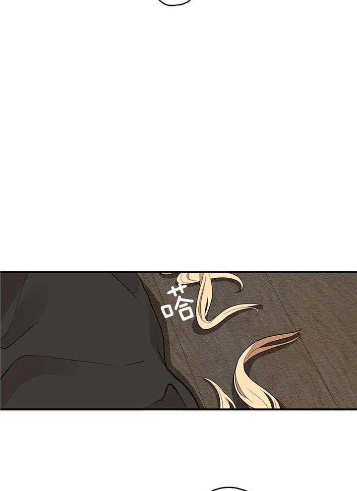 看见那条龙了吗，我的第24话图