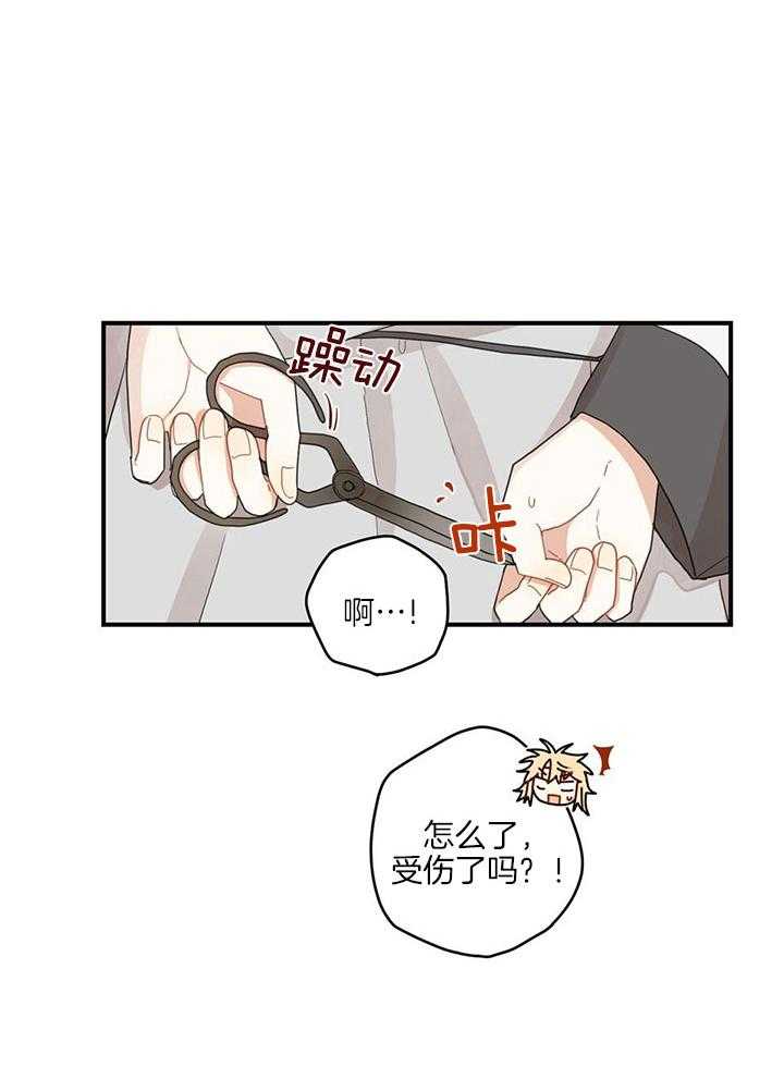 看见那条龙了吗，我的第24话图