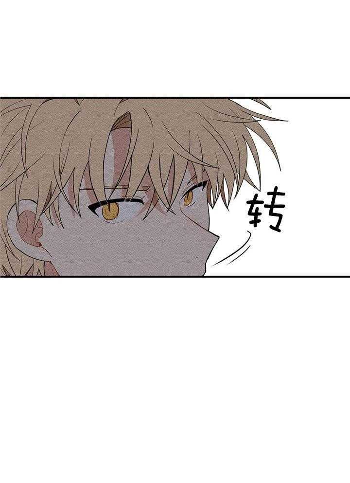 看见那条龙了吗，我的第27话图