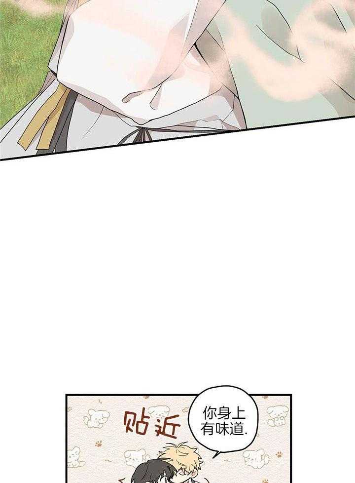 看见那条龙了吗，我的第29话图