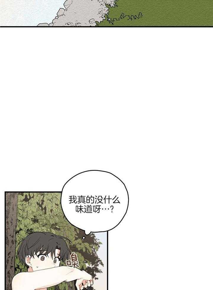 看见那条龙了吗，我的第29话图