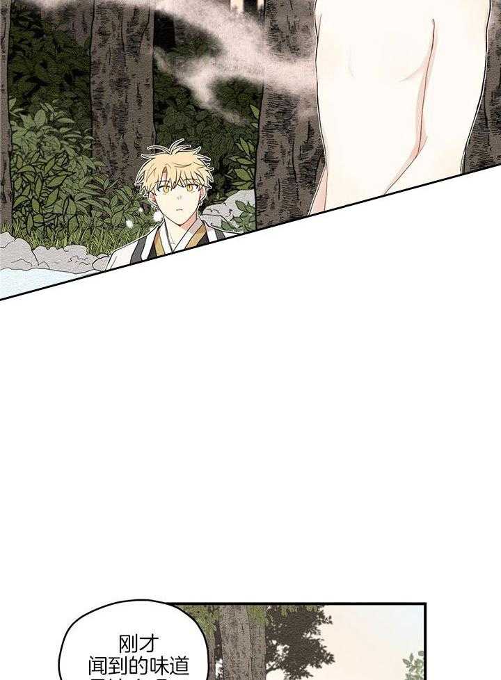 看见那条龙了吗，我的第29话图