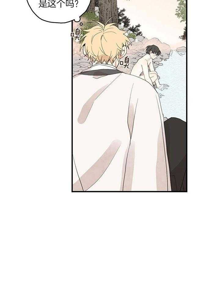 看见那条龙了吗，我的第29话图