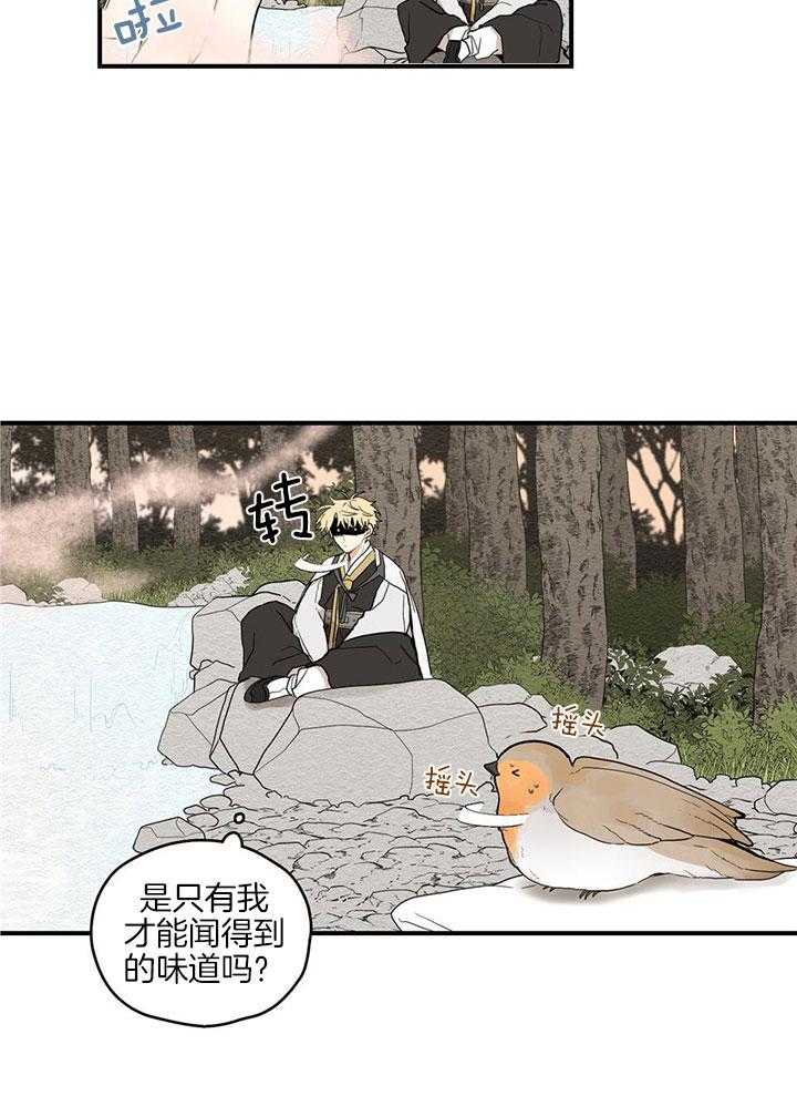 看见那条龙了吗，我的第30话图