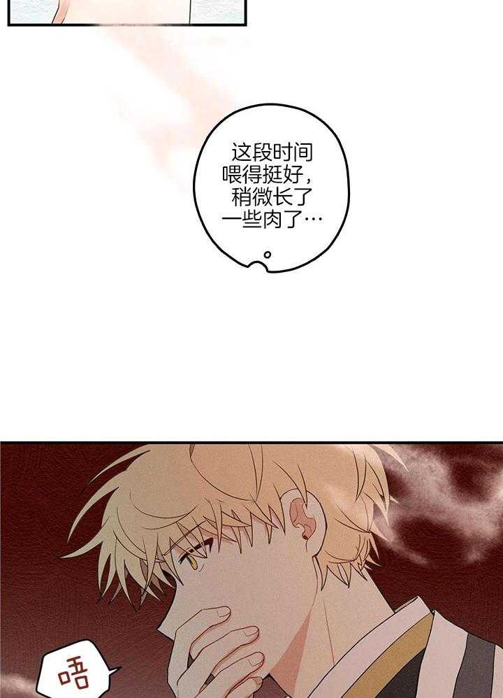 看见那条龙了吗，我的第30话图