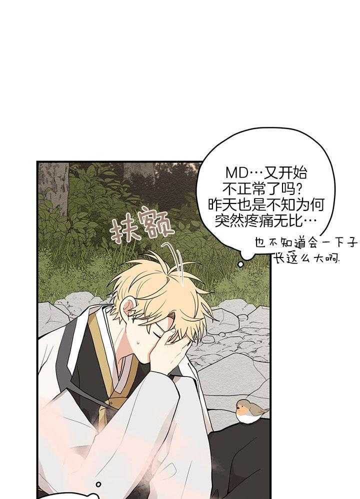 看见那条龙了吗，我的第30话图