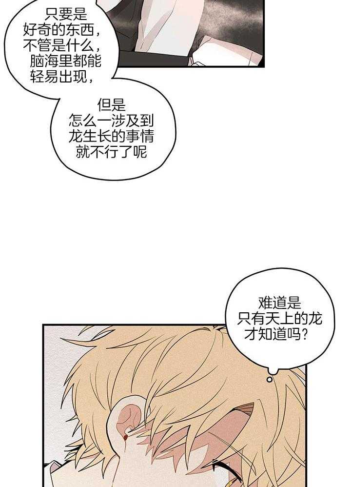 看见那条龙了吗，我的第30话图