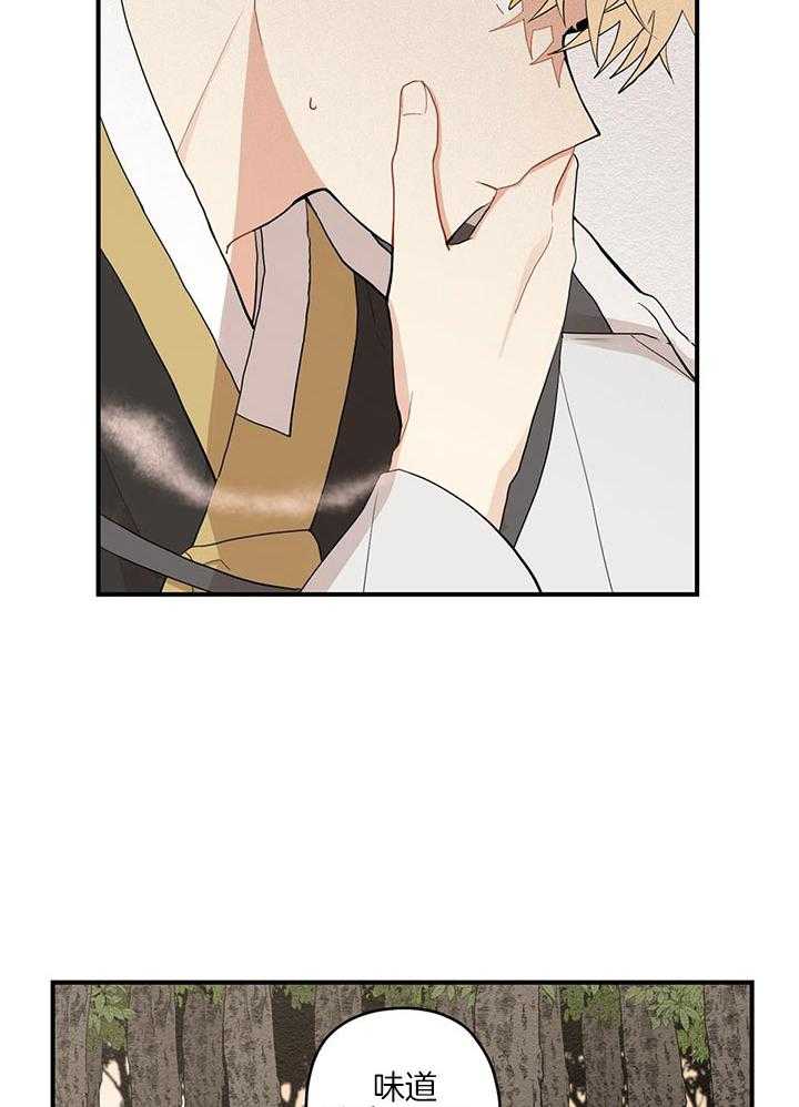 看见那条龙了吗，我的第30话图