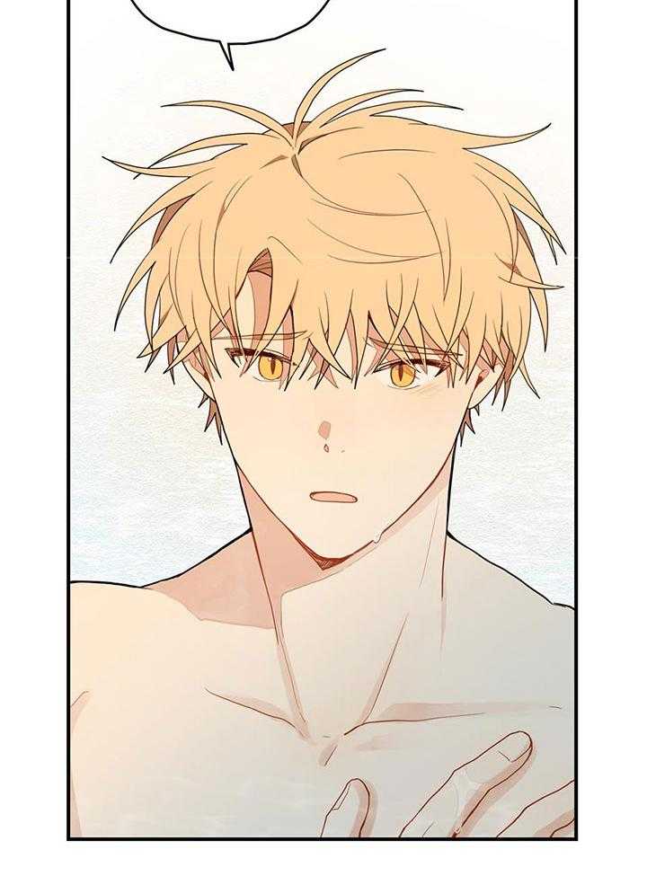 看见那条龙了吗，我的第31话图