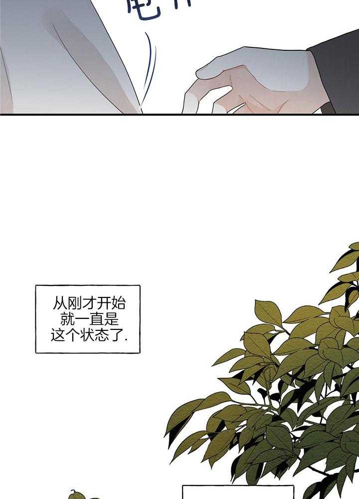 看见那条龙了吗，我的第31话图