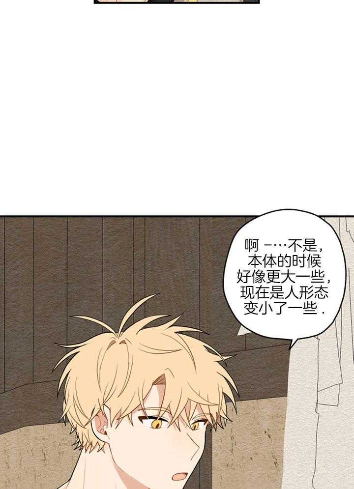 看见那条龙了吗，我的第36话图