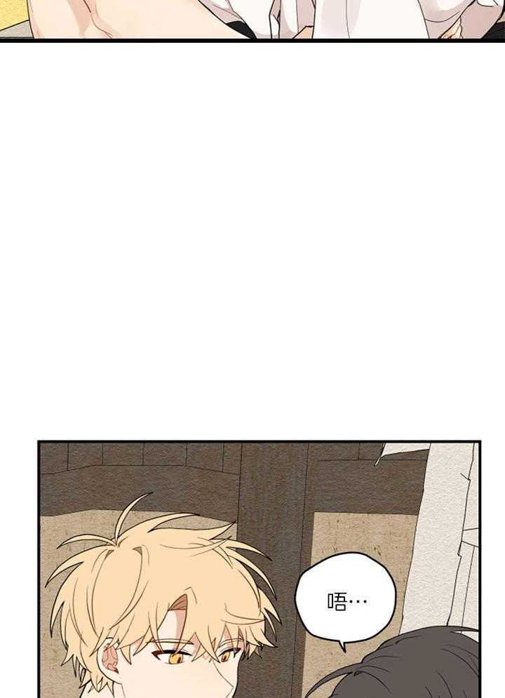 看见那条龙了吗，我的第36话图