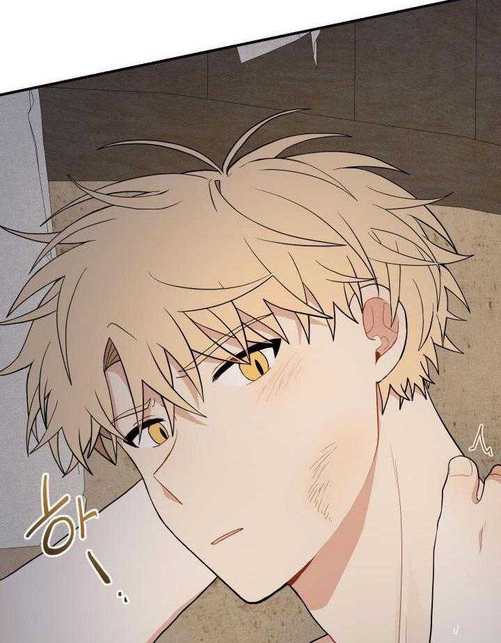 看见那条龙了吗，我的第37话图