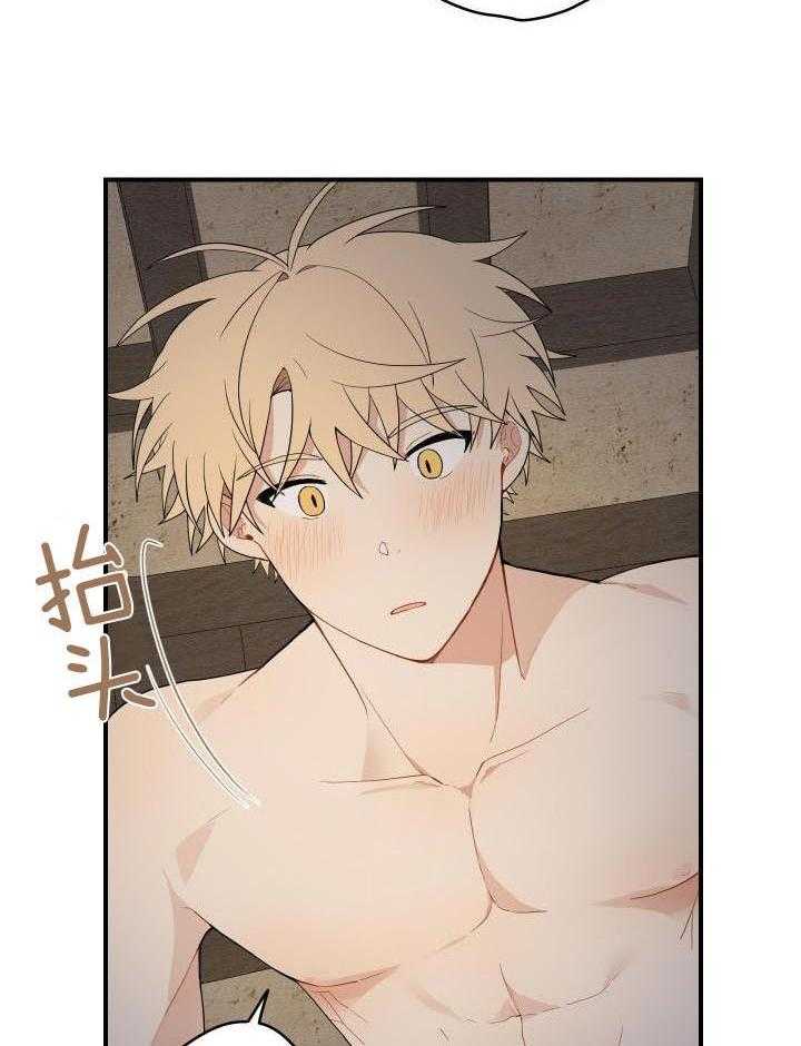 看见那条龙了吗，我的第38话图