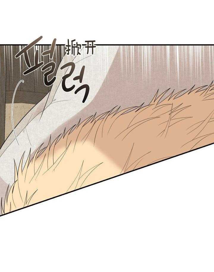 看见那条龙了吗，我的第39话图