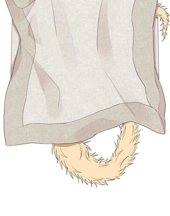 看见那条龙了吗，我的第39话图