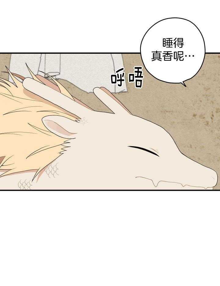 看见那条龙了吗，我的第39话图