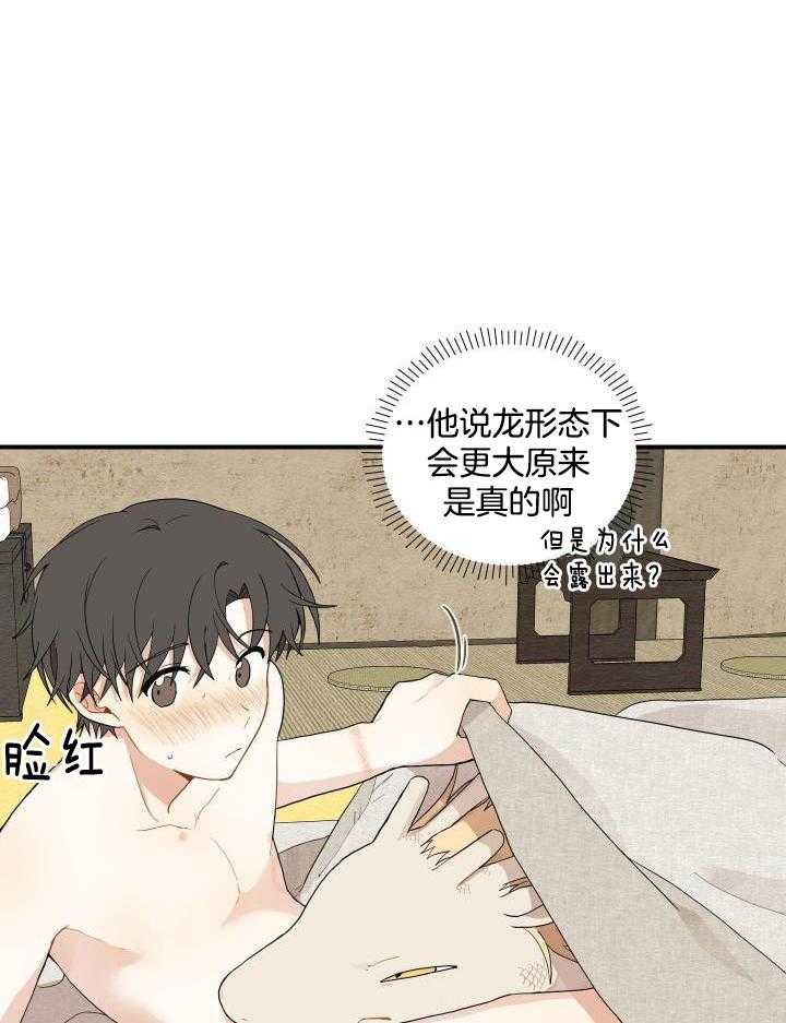 看见那条龙了吗，我的第39话图