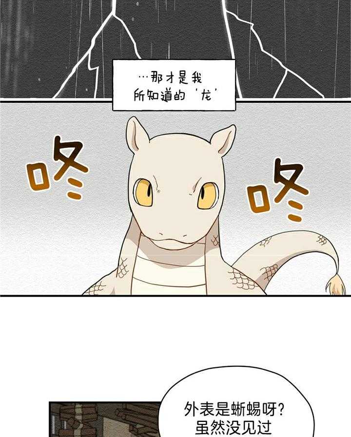 看见那条龙了吗，我的第4话图