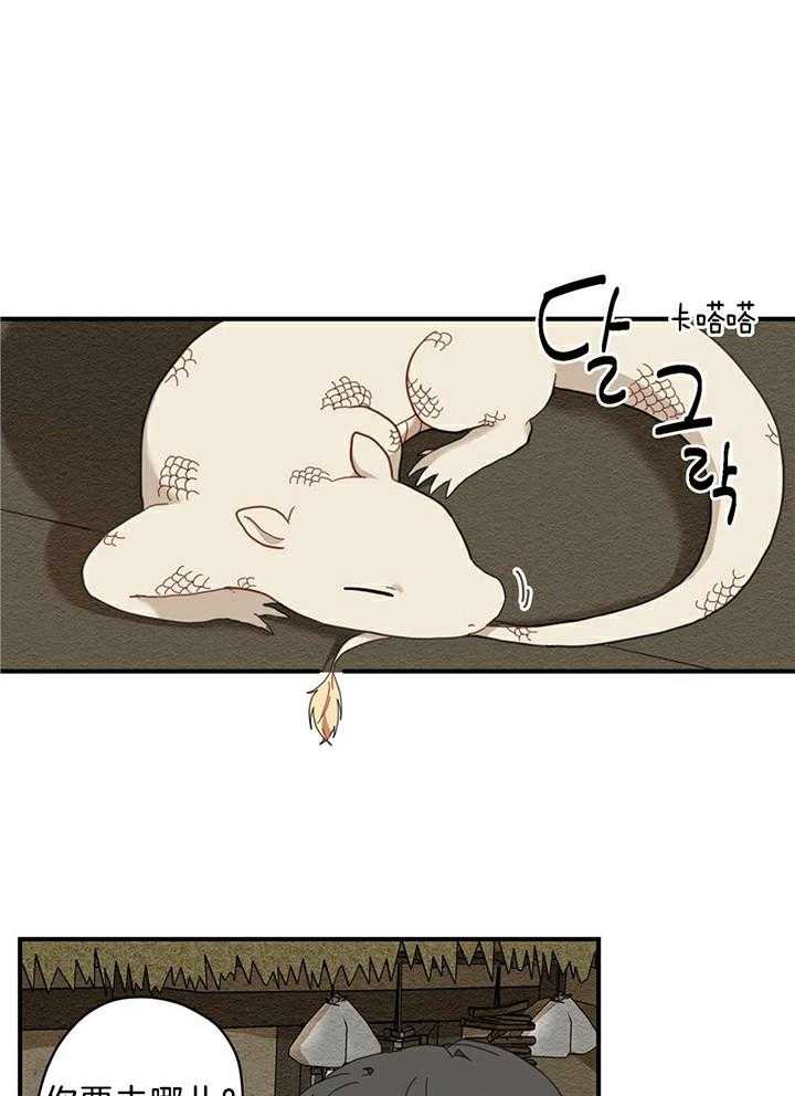 看见那条龙了吗，我的第4话图