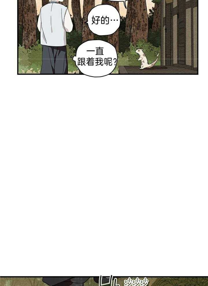 看见那条龙了吗，我的第4话图