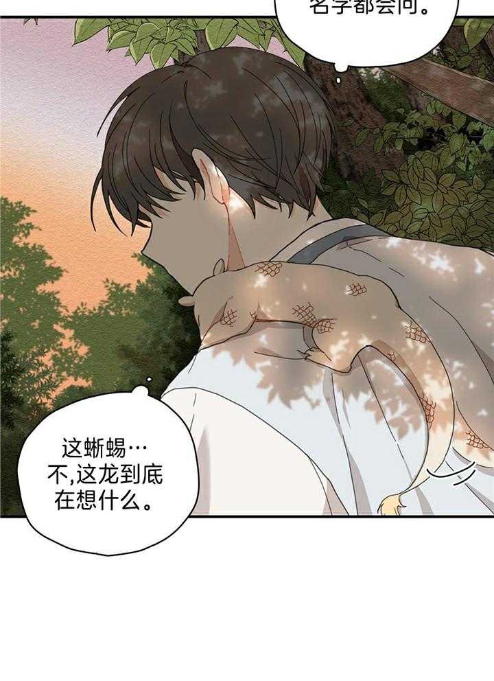 看见那条龙了吗，我的第4话图