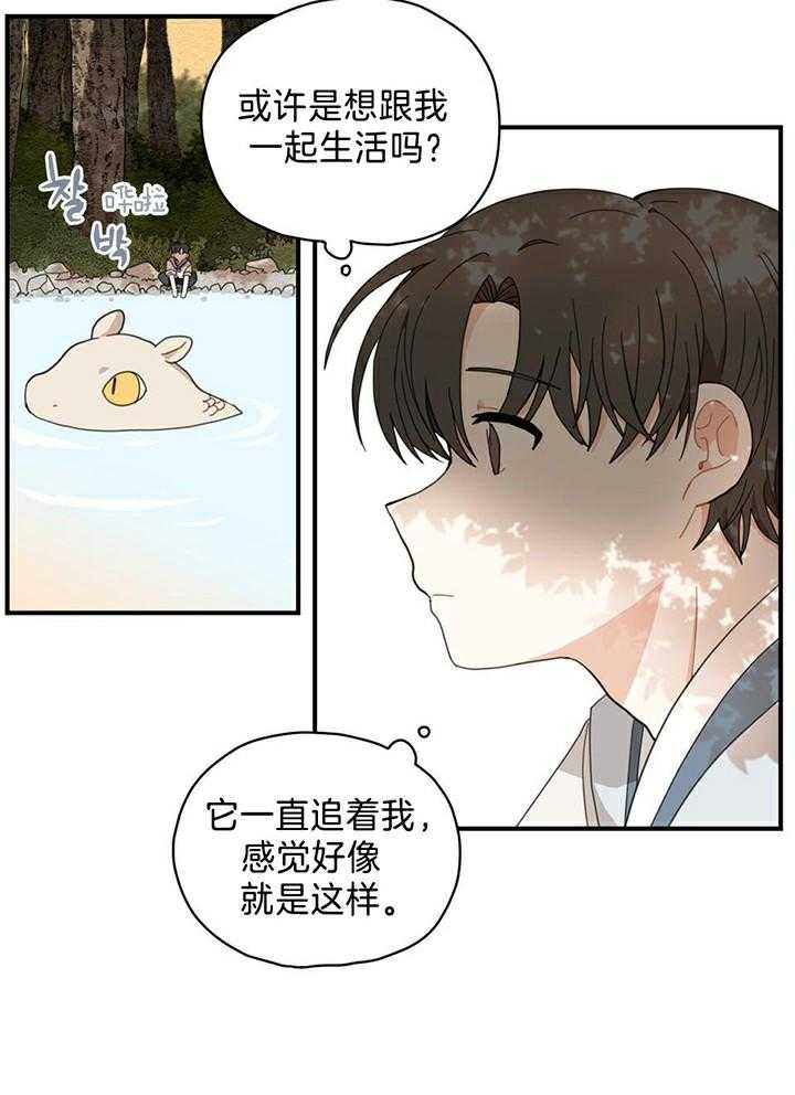 看见那条龙了吗，我的第4话图