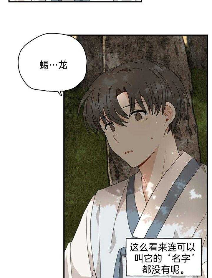 看见那条龙了吗，我的第4话图