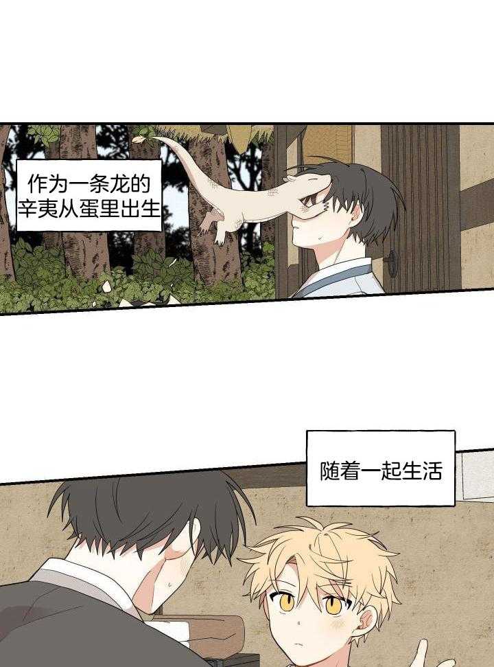 看见那条龙了吗，我的第40话图