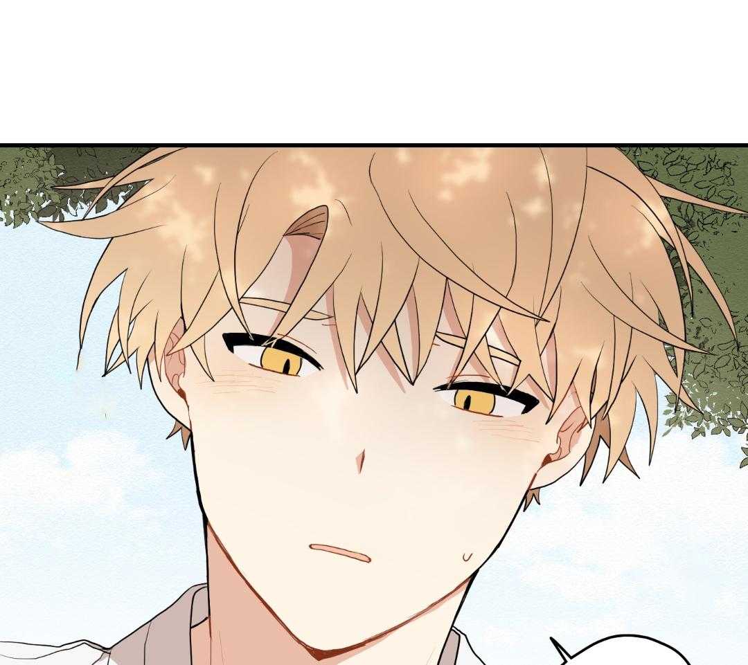 看见那条龙了吗，我的第42话图