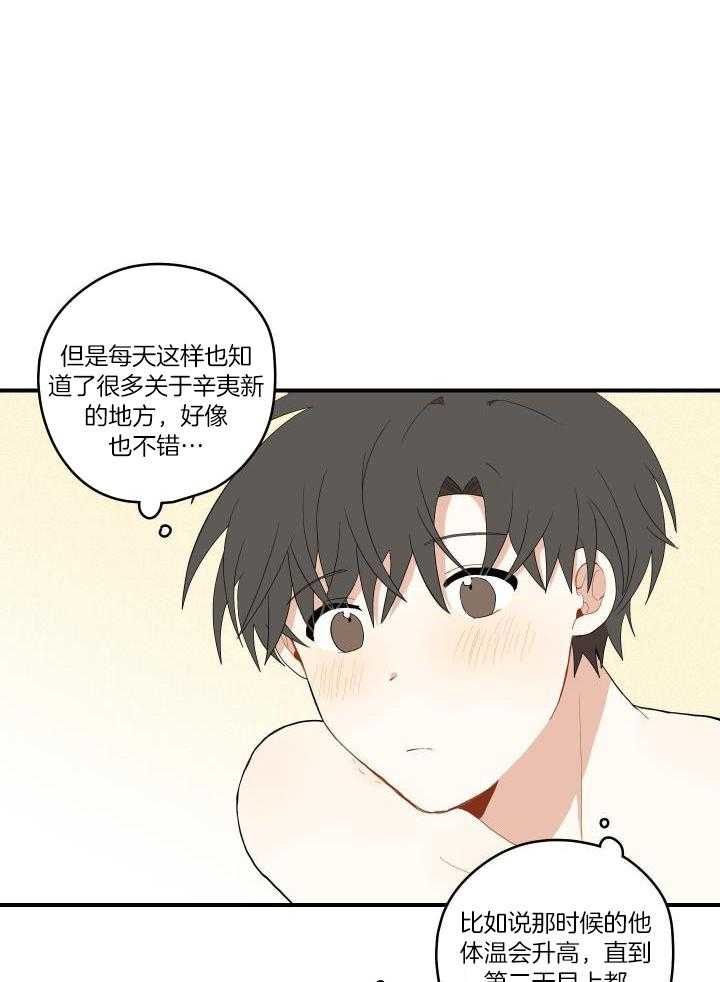 看见那条龙了吗，我的第45话图