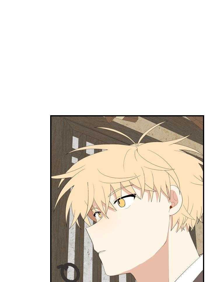 看见那条龙了吗，我的第46话图