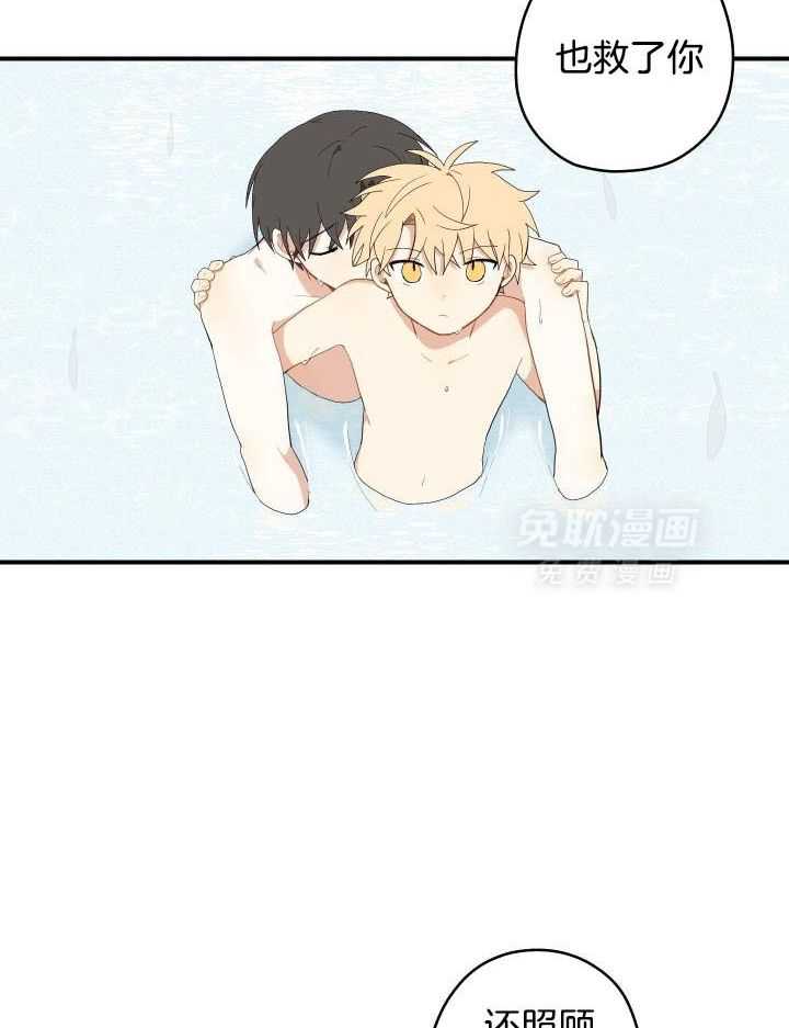 看见那条龙了吗，我的第47话图