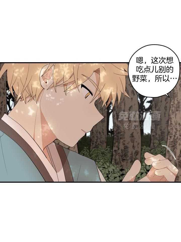 看见那条龙了吗，我的第48话图