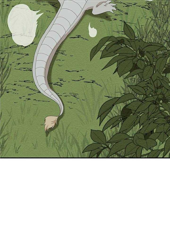 看见那条龙了吗，我的第5话图