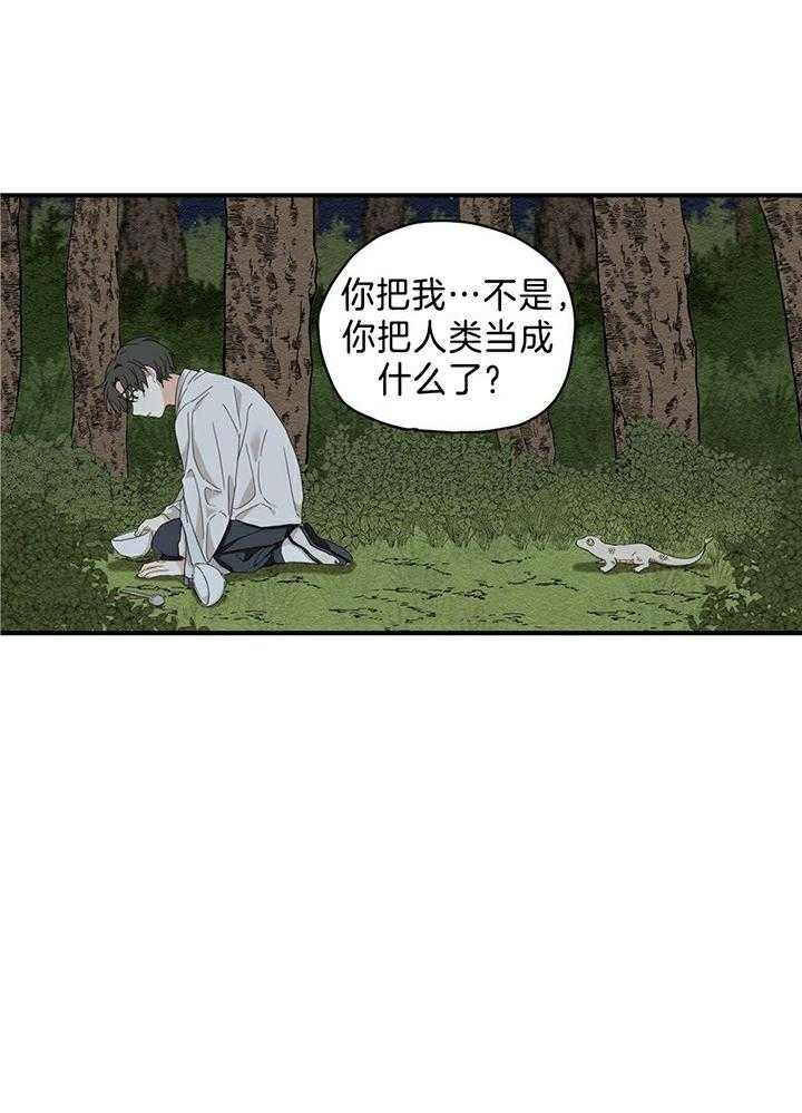 看见那条龙了吗，我的第5话图