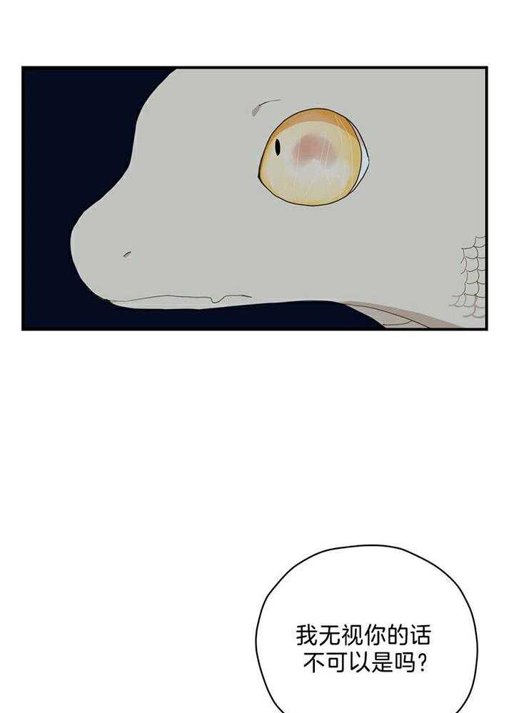 看见那条龙了吗，我的第5话图