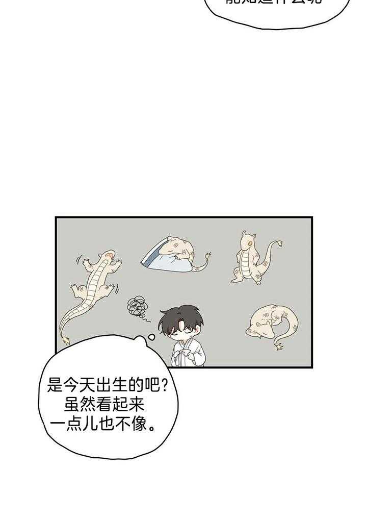 看见那条龙了吗，我的第5话图