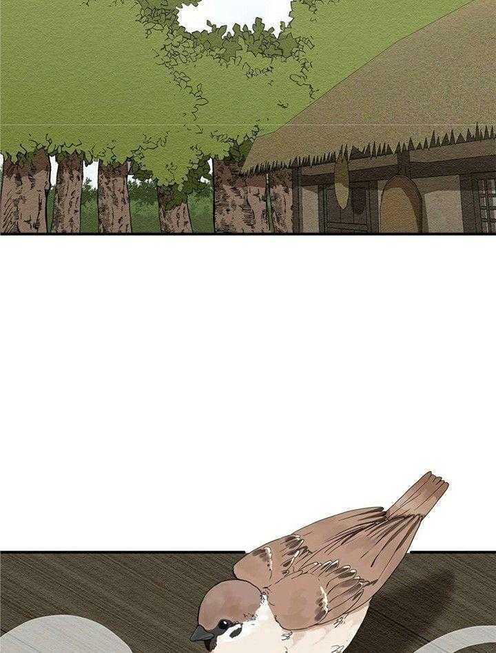 看见那条龙了吗，我的第5话图