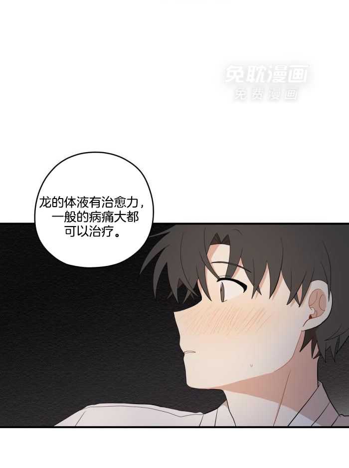 看见那条龙了吗，我的第51话图