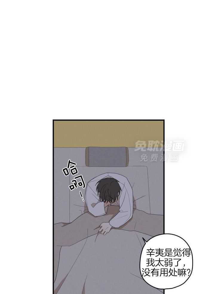 看见那条龙了吗，我的第53话图