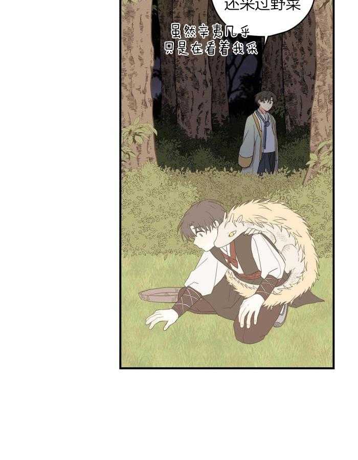 看见那条龙了吗，我的第57话图