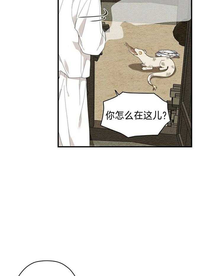 看见那条龙了吗，我的第6话图