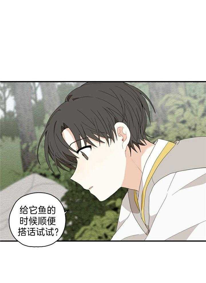 看见那条龙了吗，我的第6话图